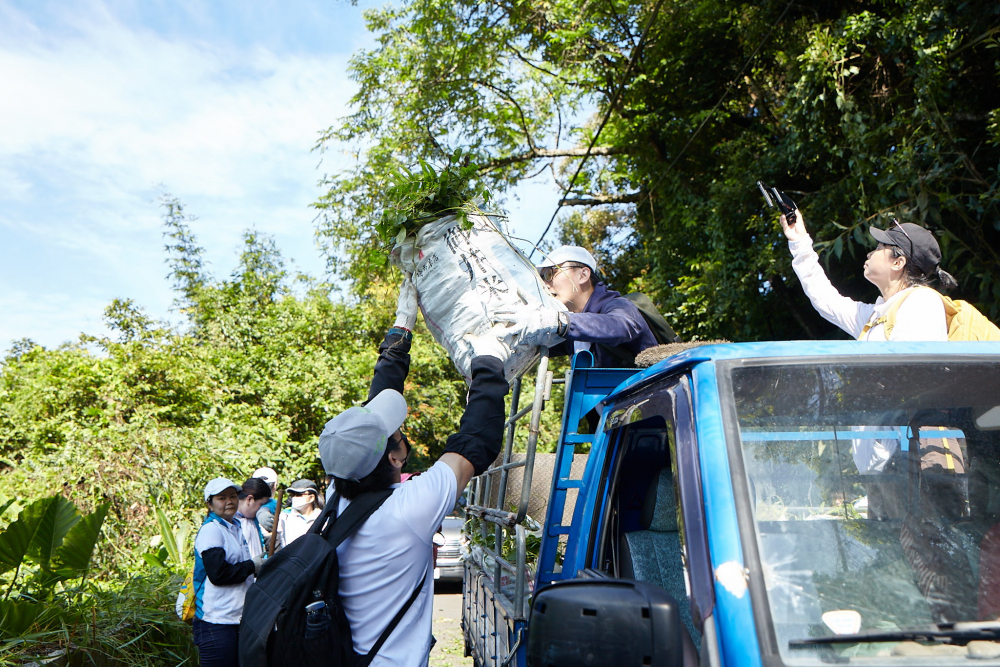 友達串聯志工組成水環境巡守隊，針對霄裡溪沿岸3公里的小花蔓澤蘭，定期進行移除與防治工作